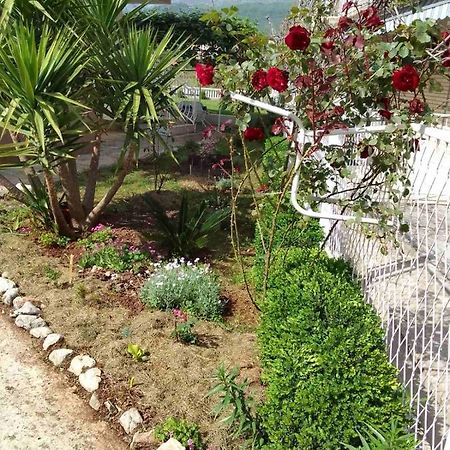 Guesthouse Djurisic Herceg Novi Dış mekan fotoğraf