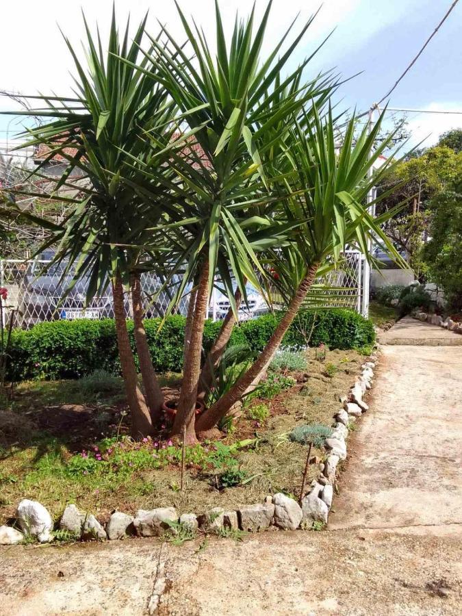 Guesthouse Djurisic Herceg Novi Dış mekan fotoğraf