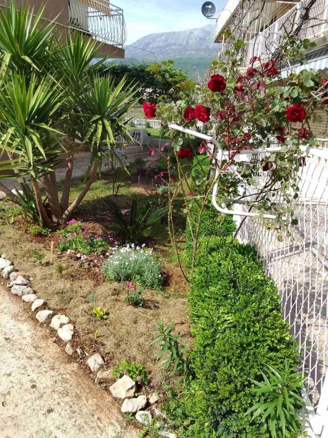 Guesthouse Djurisic Herceg Novi Dış mekan fotoğraf